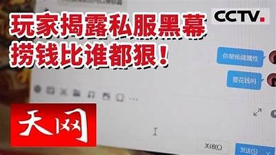 《揭秘天龙私服：安全性研究与风险评估》